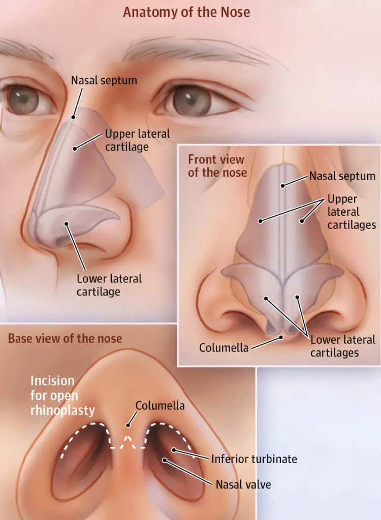 Patient Relaxing in Hotel During Recovery