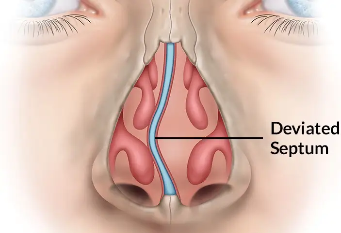 Receptionist Assisting International Patient