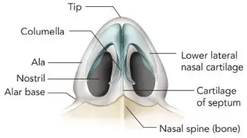 Receptionist Assisting International Patient